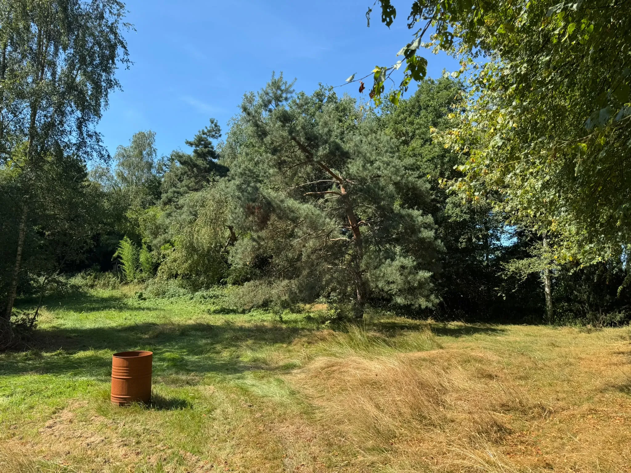 Tree Felling